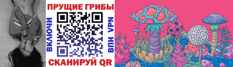 Галлюциногенные грибы мицелий  гидра зеркало  это Telegram  Пионерский 